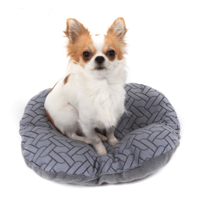CAMAS PARA PERROS CHICOS
