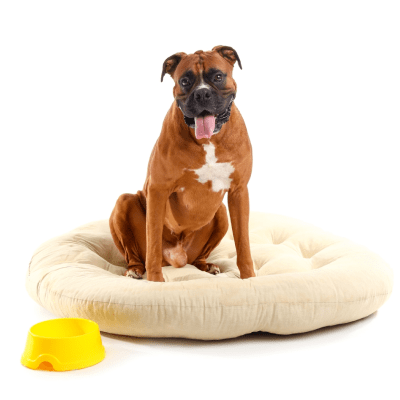 CAMAS PARA PERROS TALLA L