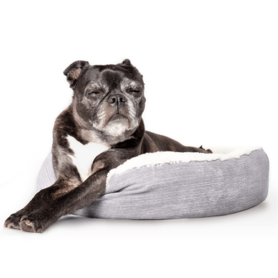 CAMAS PARA PERROS MAYORES