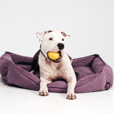 CAMA PARA PERROS GRANDES