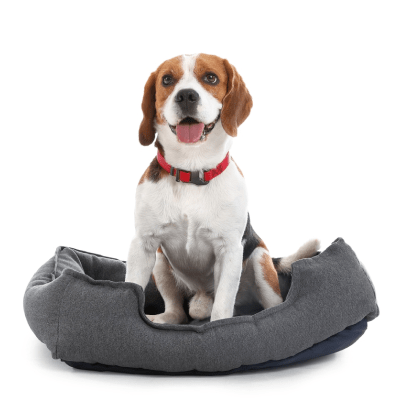 VENTA DE CAMAS PARA PERROS